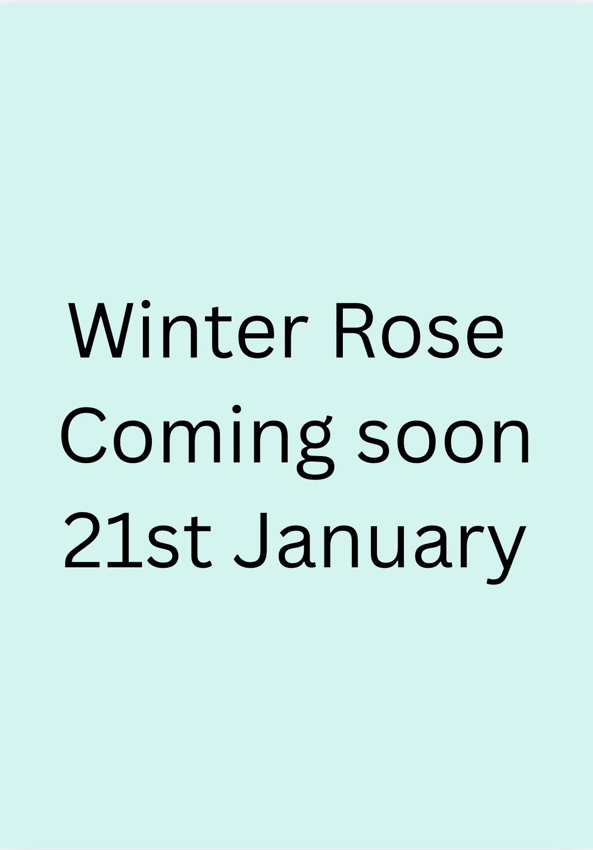 “Winter Rose”, Adult Paint Along, Plough, Cardiff- 21th January, 6.45pm