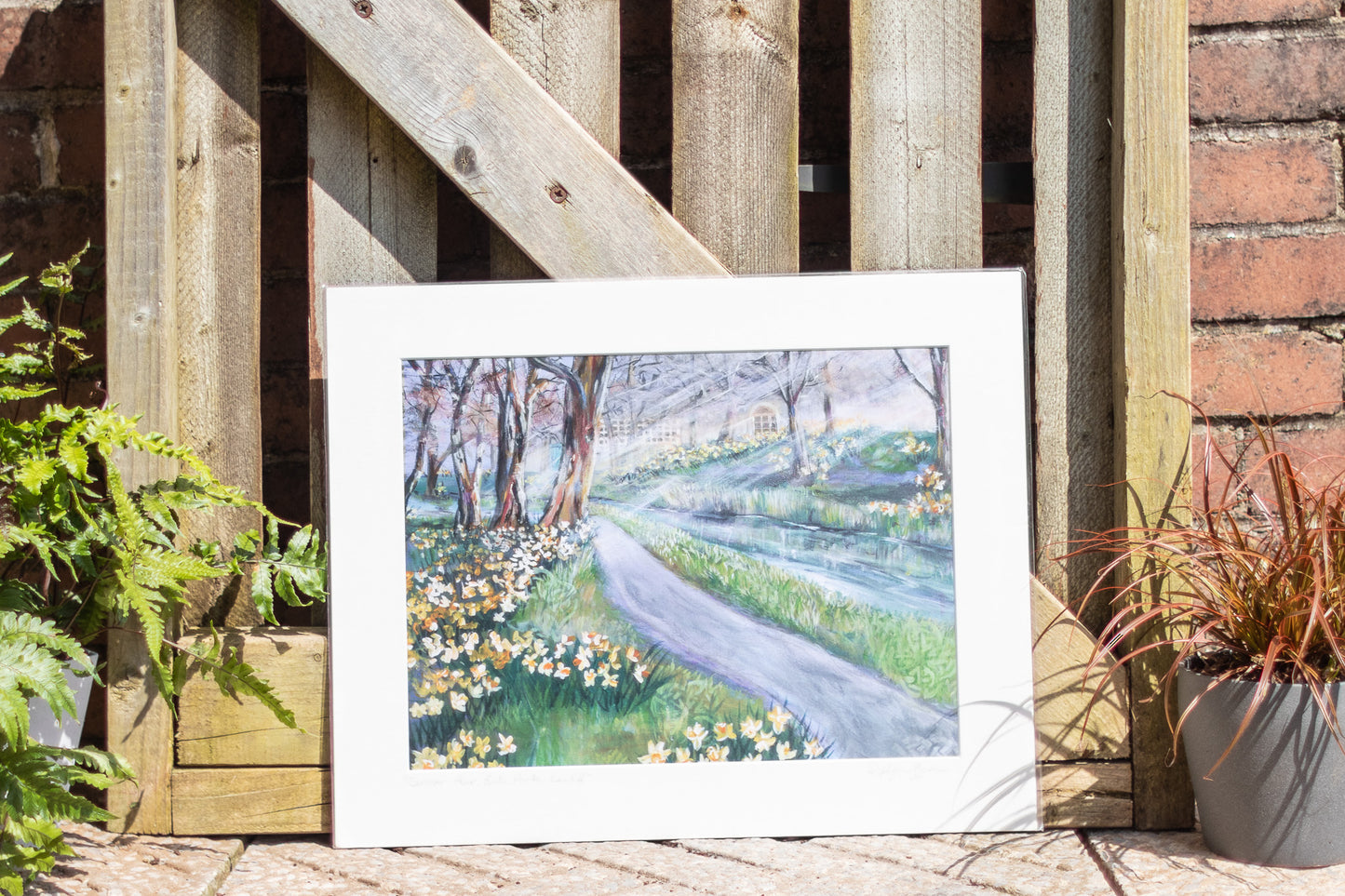 Cennin Aur - Bute Park