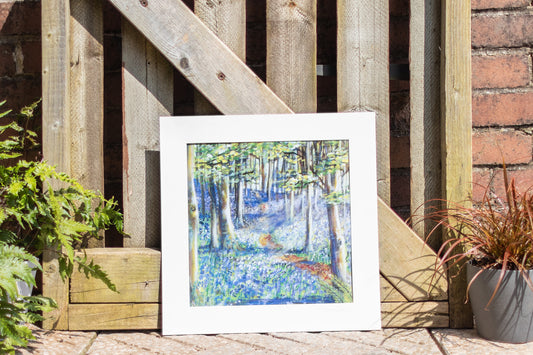 Woodland Bluebells, The Wenallt, Rhiwbina