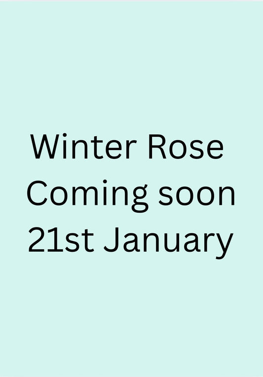 “Winter Rose”, Adult Paint Along, Plough, Cardiff- 21th January, 6.45pm