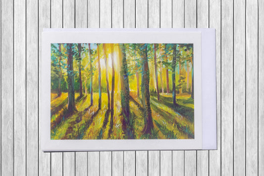 Spring Wood